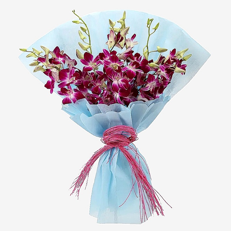 Nice Orchid