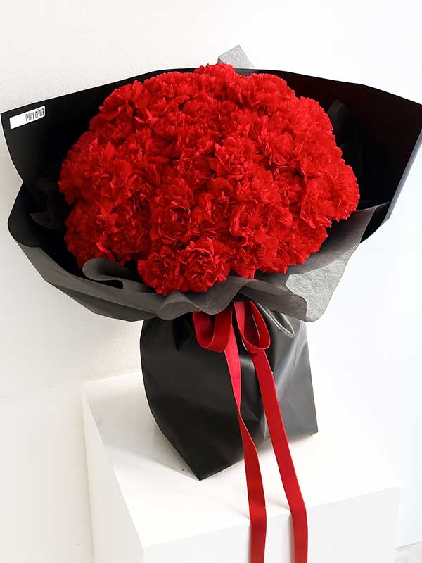 Red Carnation Elegance