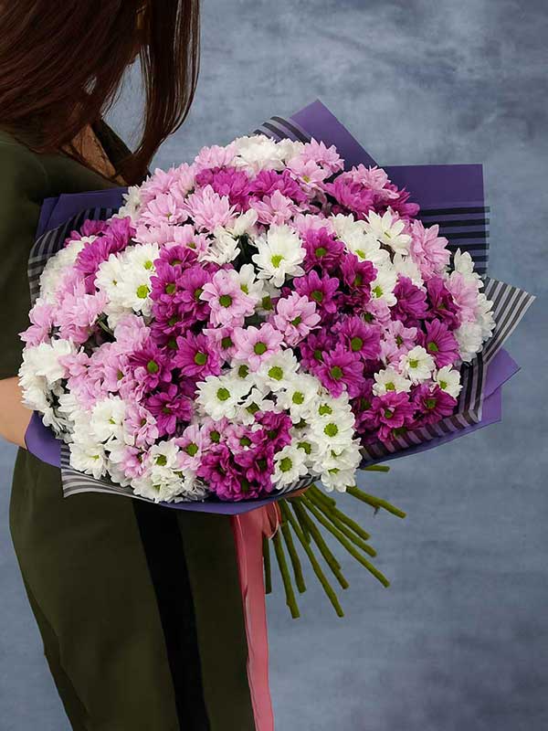 Mixed Daisy Bloom Bunch