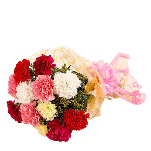 Mixed Carnation Bunch