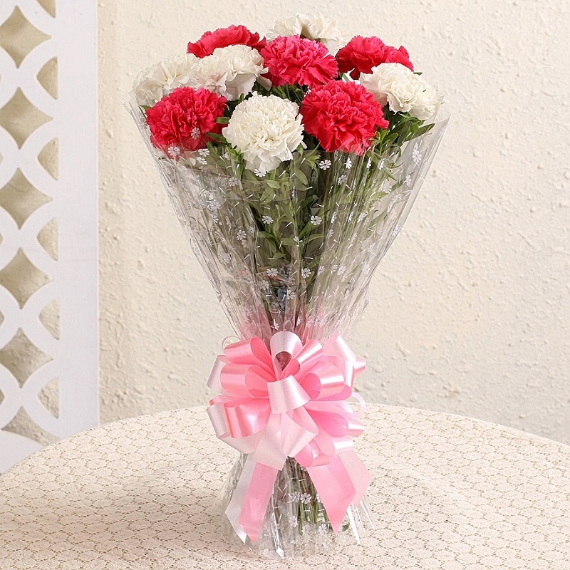 Dual Colour Carnation