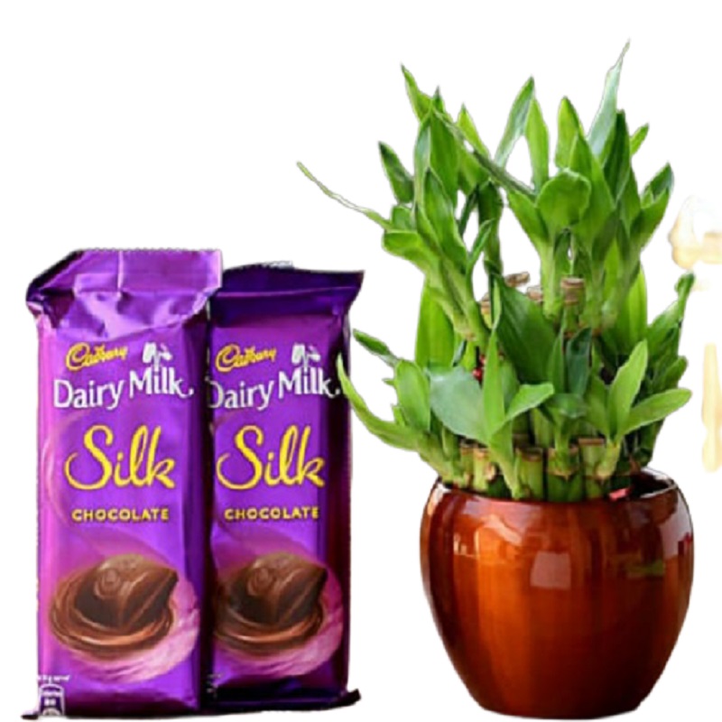 Silk with Bamboo