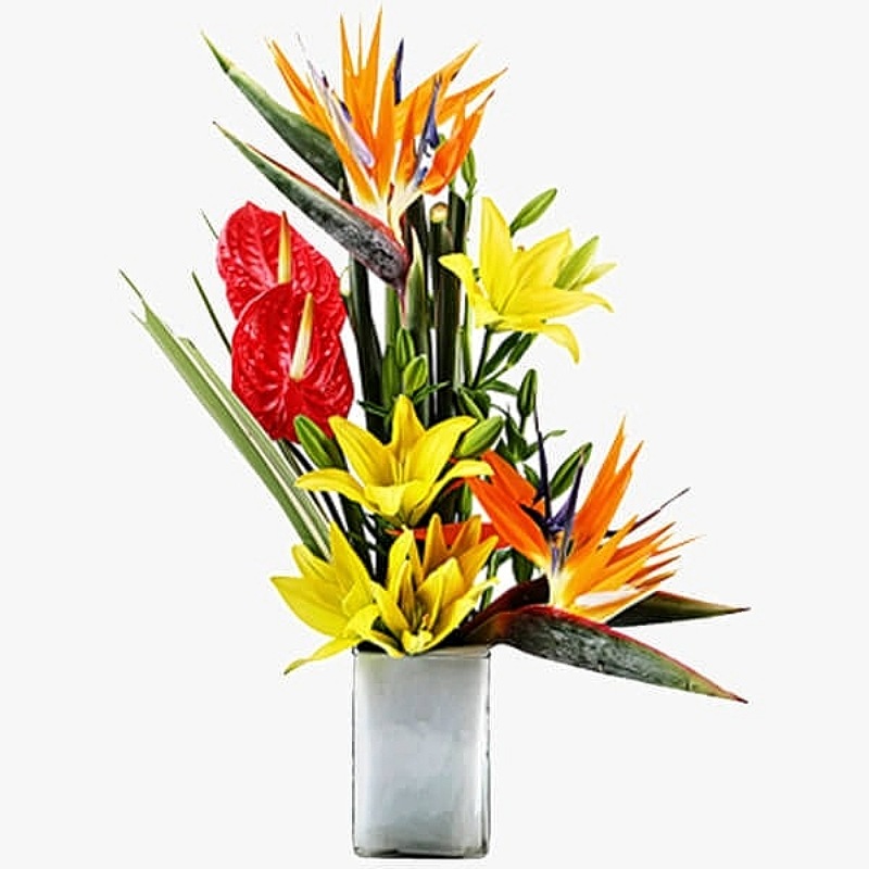 Romentic Blooms
