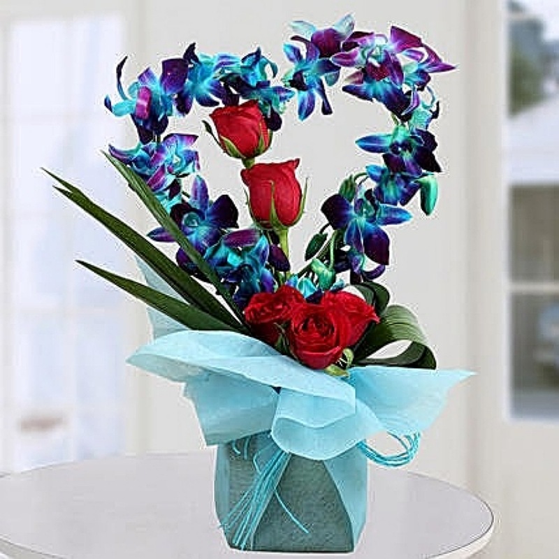 Die Heart Gift