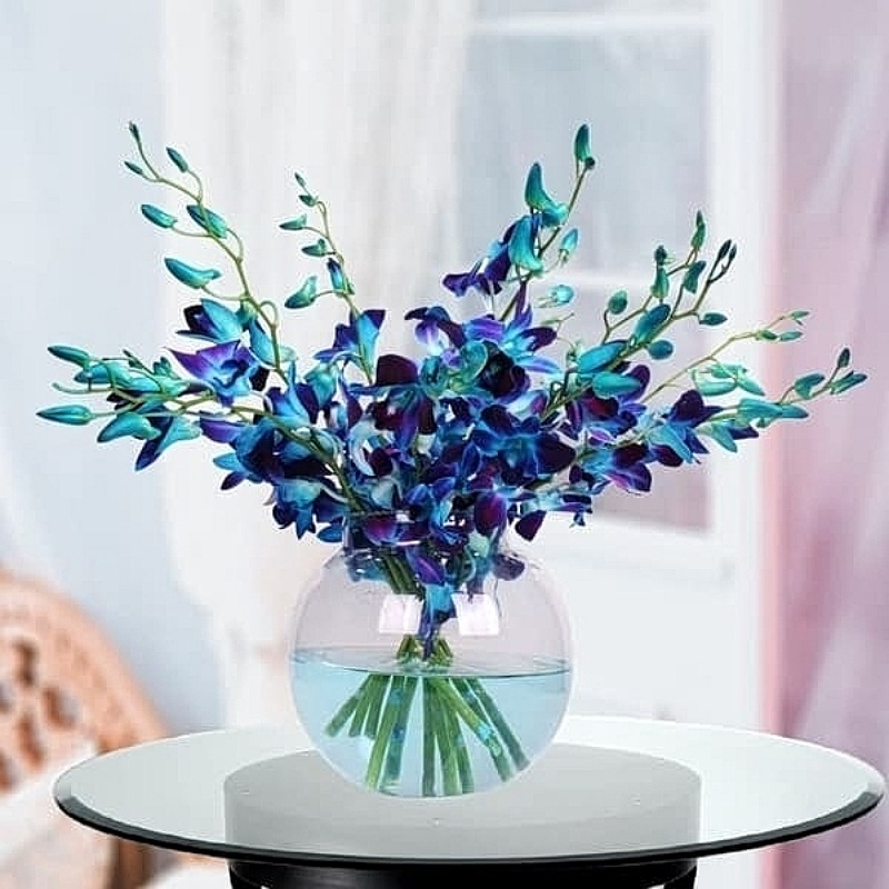 Fresh Blue Orchid Vase
