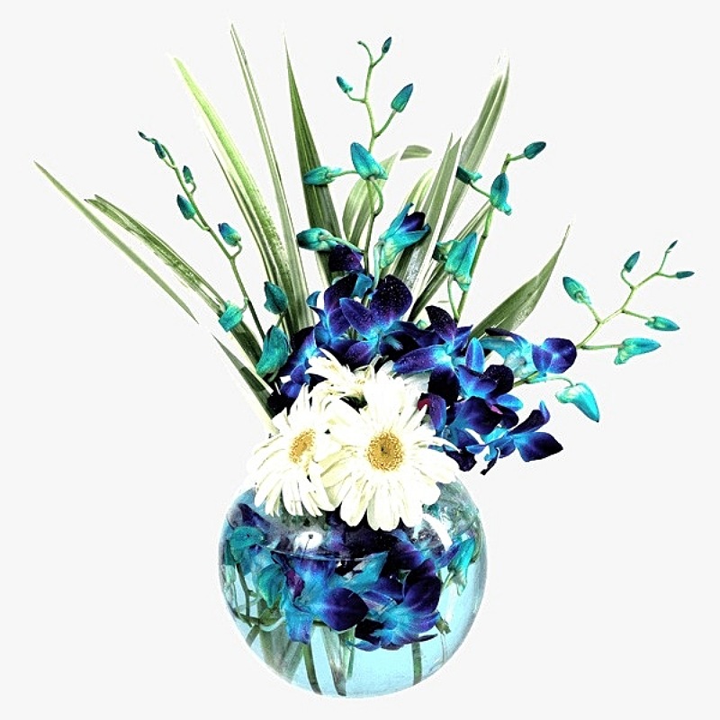 Orchid with Round Vase