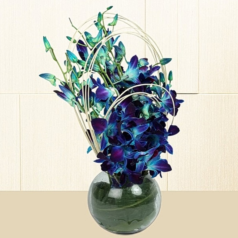 Blue Orchid with Vase