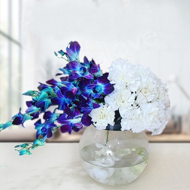 Perfect Combination Arrangement 