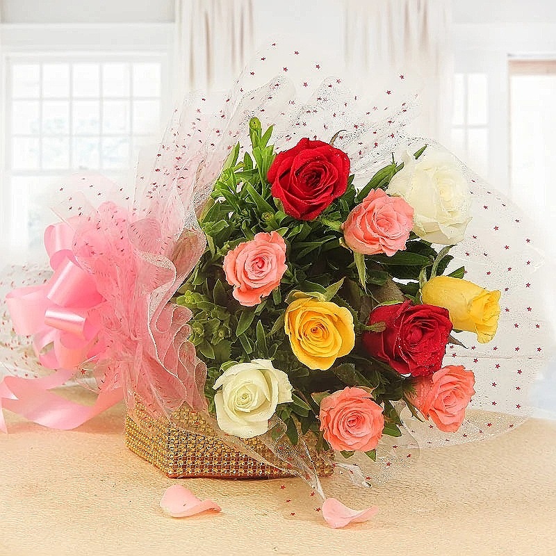 Colorful Rose