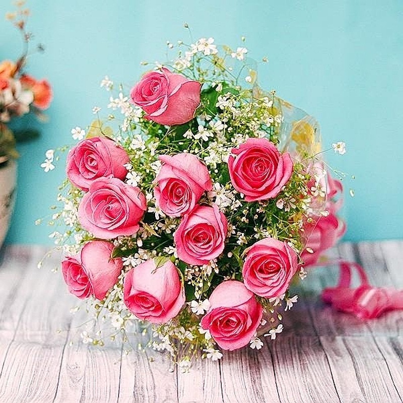 10 Baby Pink Rose