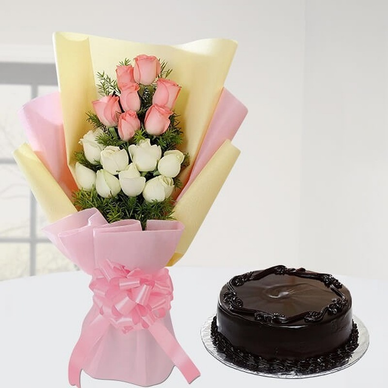 Best Gift for you