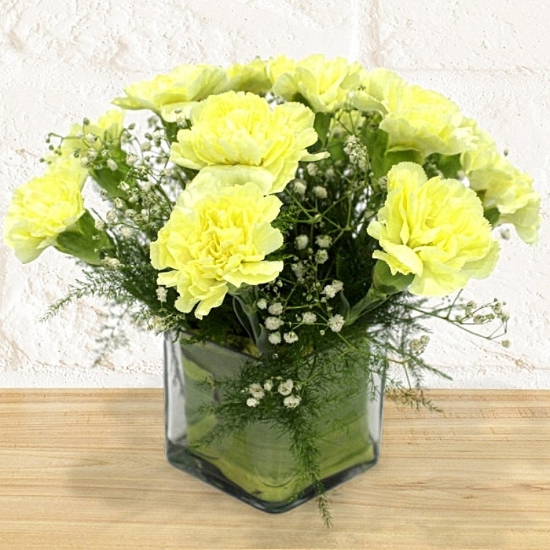 Beautiful Carnation - Glass Vase